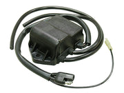 POLARIS 340 INDY (F/C FUJI) [1999-2003] - CDI-Box für Snowmobile