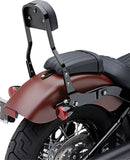 Harley-Davidson Street Bob [COBRA] – Irrotettava selkänojasarja-1
