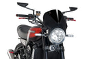 KAWASAKI Z 900 RS SE [2025] – Vision Windschild Visier – Getönt-17