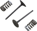 Suzuki RM 250 [PROX] – valve and spring set