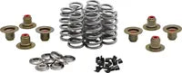 Harley-Davidson FLSB 1750 Softail Sport Glide 107 [2022, 2024] - Titanium valve spring retainer kit - picture 9