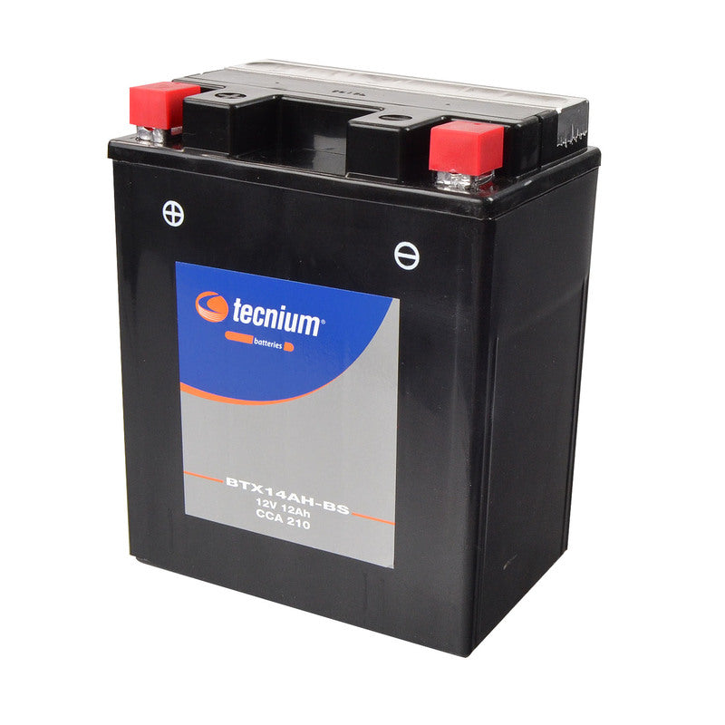 BMW R 1200 GS [TECNIUM] - Motorradbatterie