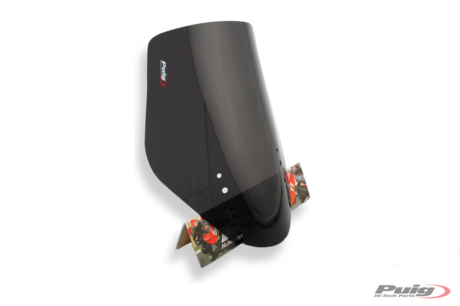 SUZUKI DL 650 V-STROM ABS [2011] – Touring Screen – sävytetty