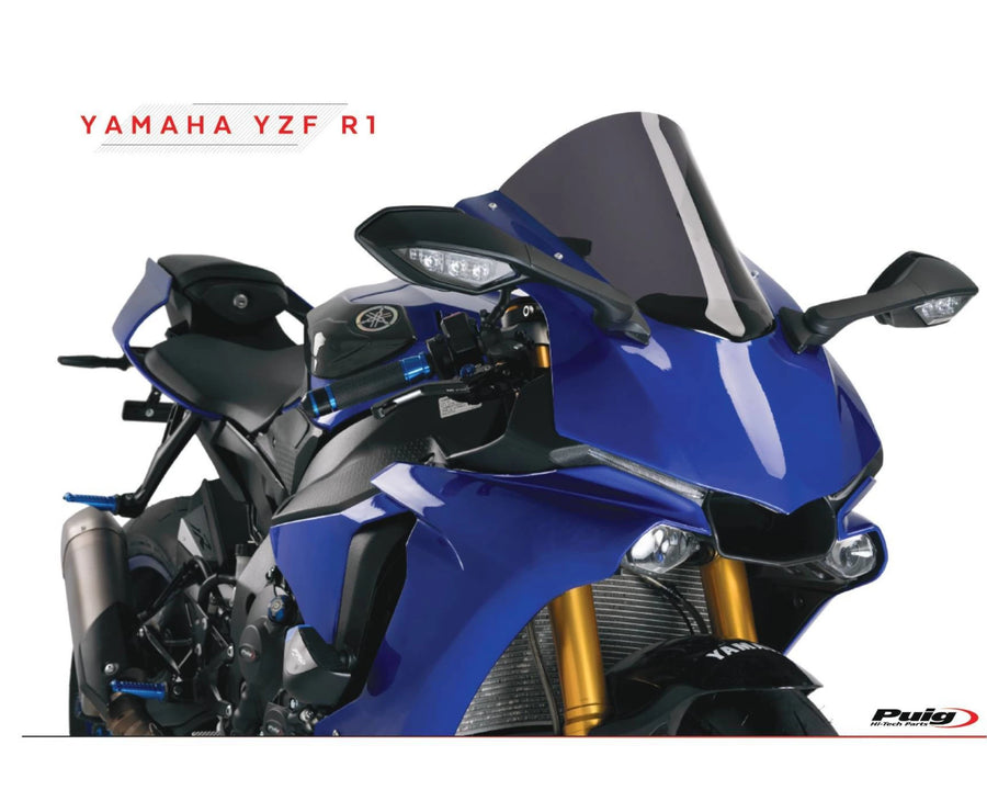 KAWASAKI ZX-10RR NINJA PERFORMANCE [2018] – R-Racer Screen – Sävytetty