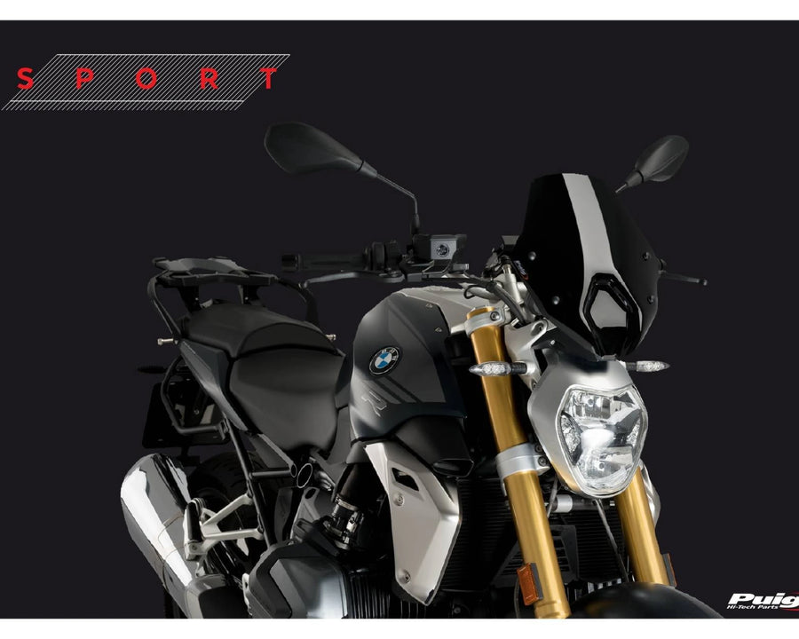 BMW R 1250 R [2018] – New Generation Sport – Getönt