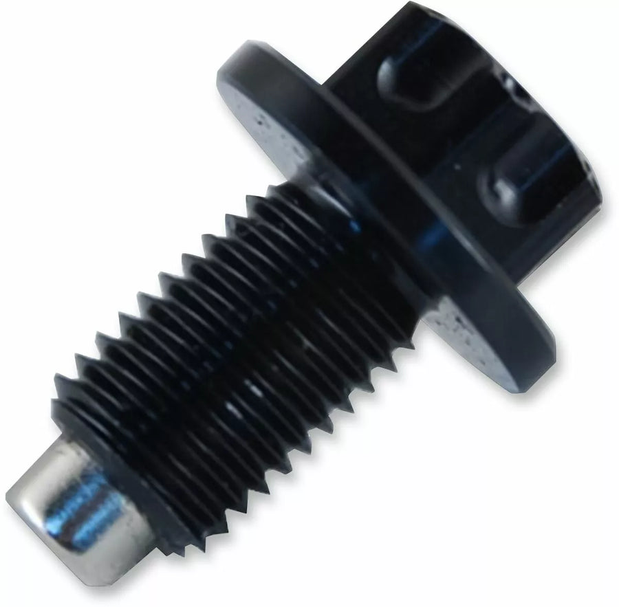 Yamaha WR 125 R [PSR] – Magnetische Ölablassschraube