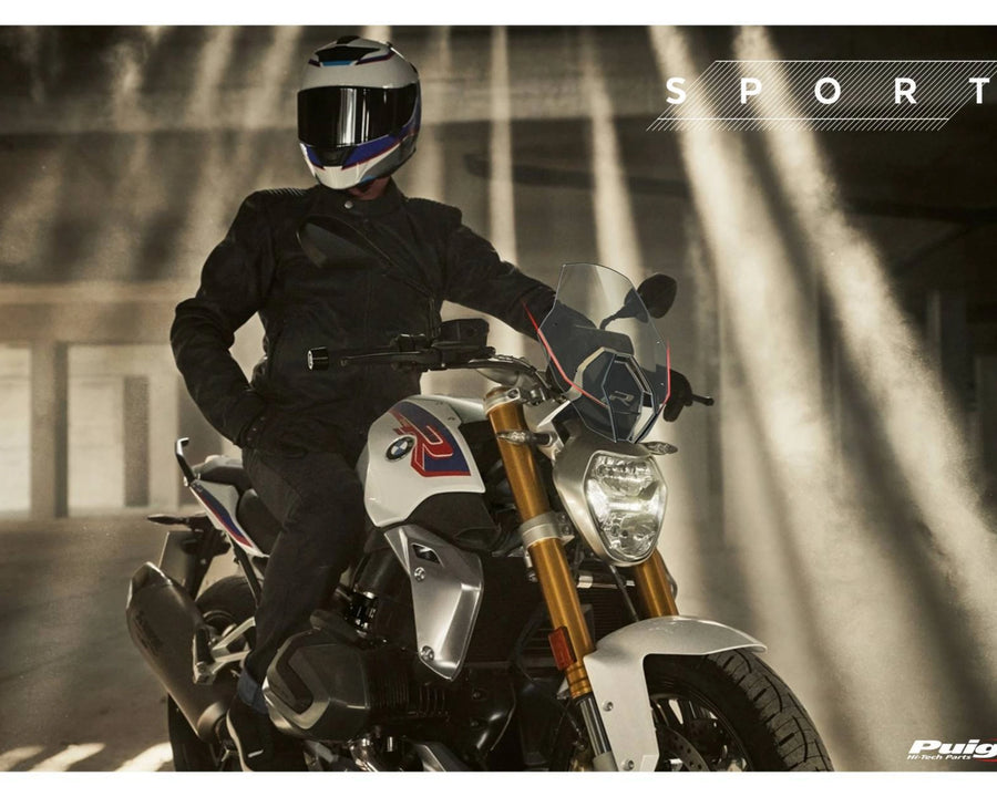 BMW R 1250 R [2018] – New Generation Sport – Getönt