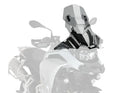BMW F 900 GS [2025] – Sportscheibe – Getönt-2