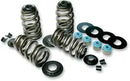 Buell S 2 T 1200 Thunderbolt [1995] - Endurance Beehive® valve springs with titanium spring plates - picture 5
