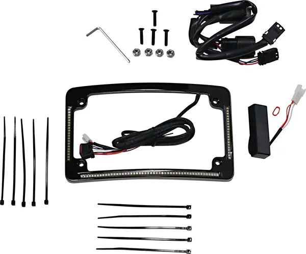 Harley Davidson Flhx [CUSTOM DYNAMICS] – LED Radius License Plate Frame