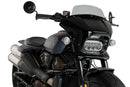 HARLEY DAVIDSON SPORTSTER S RH 1250 S [2024] – Fury – Stark getönt-5