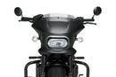 HARLEY DAVIDSON SPORTSTER S RH 1250 S [2024] – Fury – Getönt-2
