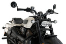 HARLEY DAVIDSON SPORTSTER S RH 1250 S [2024] – Fury – Getönt-32