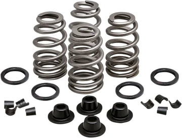 Daytona 660 [KIBBLEWHITE] – Beehive Valve™ -venttiilijousisarja