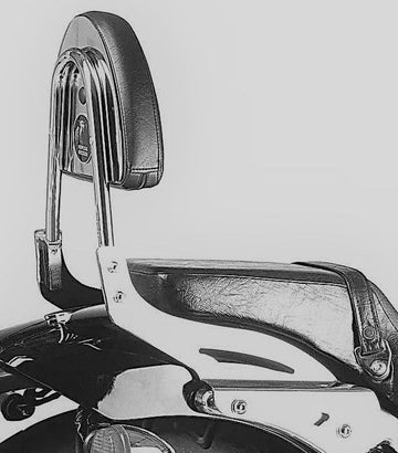 Honda VT 750 D2 Black Wido [2001-2003] - Sissybar ilman matkalaukkuja