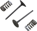 Suzuki RM 250 [PROX] – valve and spring set