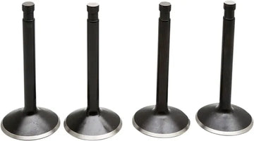 Harley Davidson FX Shovel [KIBBLEWHITE] – Black Diamond™ -moottoriventtiilisarja