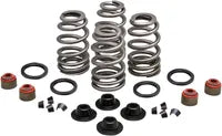 Buell S 2 T 1200 Thunderbolt [1995] - Endurance Beehive® valve springs with titanium spring plates – picture 12