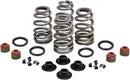 Harley-Davidson FLHTCSE 1690 EFI Electra Glide Screamin Eagle [2004] - Endurance Beehive valve spring set for Screamin' Eagle heads - picture 11