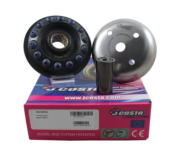 Kymco People 300 [2008-2010] - Variator Pro – Image 2