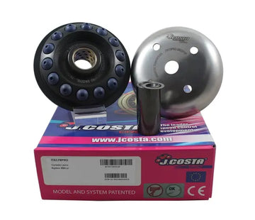 Kymco People 300 [2008-2010] - Variator Pro – Bild 2