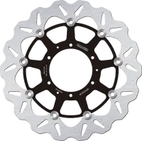 Triumph Sprint 955 RS [2000-2001] - brake discs – picture 11