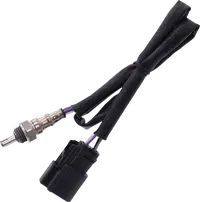 Harley-Davidson Vrscdx 1250 Night Rod Special [2012, 2012-2013, 2015-2017] - 12 mm lambda-anturi – tuotenro. 9905 – Kuva 11