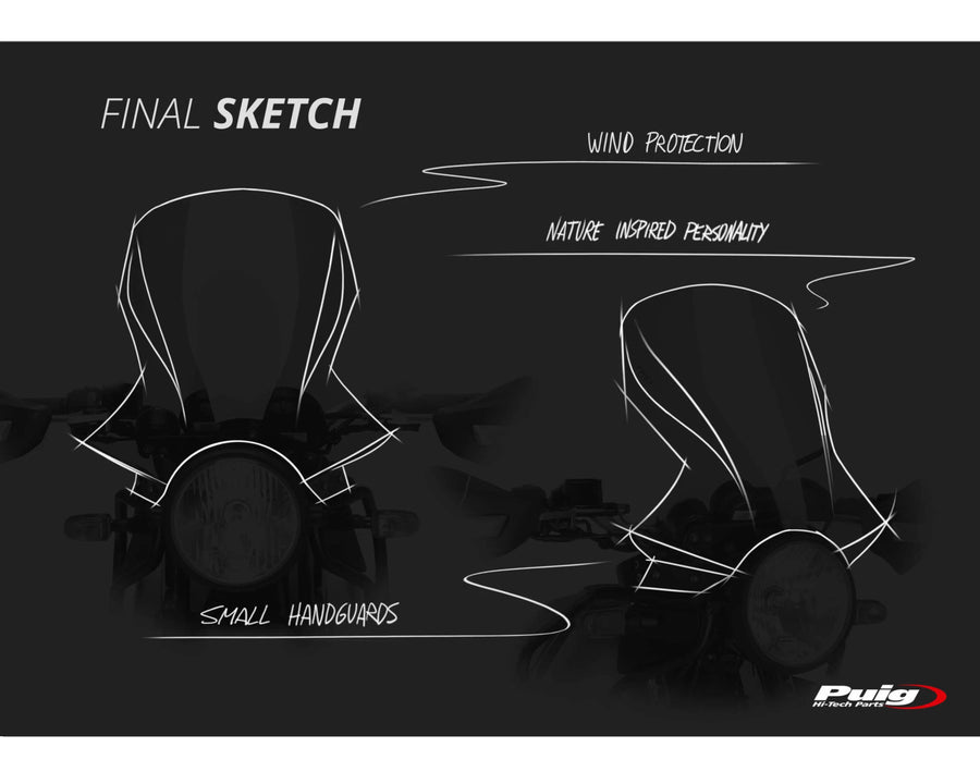 ROYAL ENFIELD HIMALAYAN 410 [2023] – Touring Screen – sävytetty