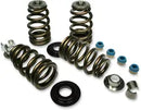 Harley-Davidson FXDSE2 1800 Dyna Screamin Eagle [2008] - Endurance Beehive valve spring set for Screamin' Eagle heads - picture 6