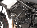Kawasaki Z 900 [2025] - Motor protection bar including protection pad-3