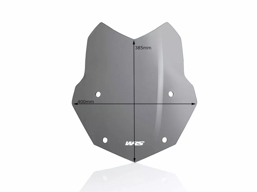 BMW R 1200 GS [WRS] - tuulilasi