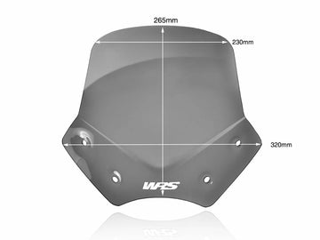 BMW R 1200 R [WRS] - tuulilasi - 0