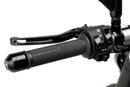 KAWASAKI Z 125 [2025] – Basic Griffe – Schwarz-3