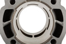 Rieju MRX Enduro 50 2T AM6 - Zylinderkit Big Racing 77ccm
