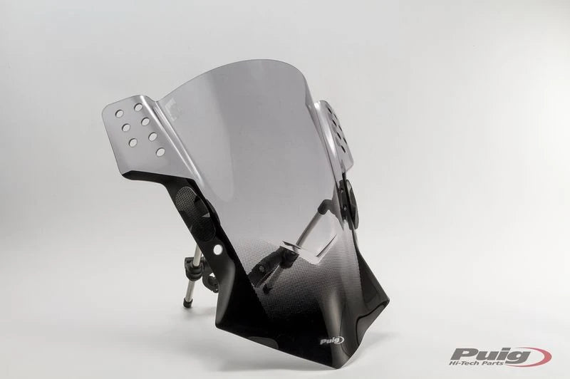 SUZUKI INAZUMA [2016] – Rafale – Sävytetty