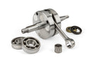 Beta RR SM 50 2T - engine pack cylinder + crankshaft TPR 100