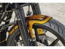 Harley Davidson Touring [RICK'S MOTORCYCLES] - Touring etulokasuoja-3