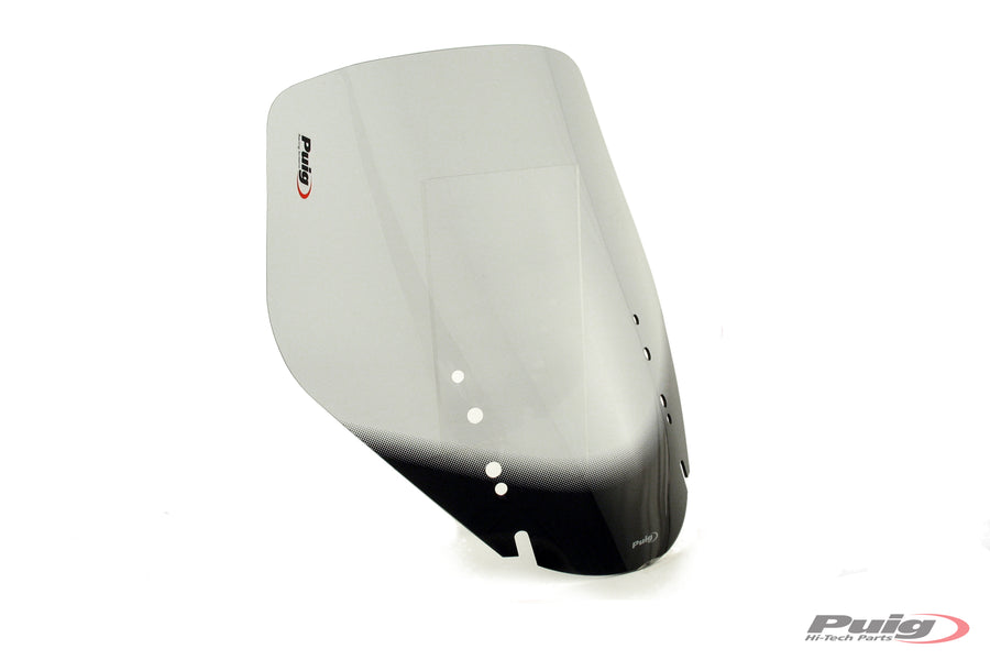 SUZUKI DL 650 V-STROM ABS [2011] – Touring Screen – sävytetty