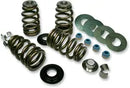 Harley-Davidson FLHTCSE 1690 EFI Electra Glide Screamin Eagle [2004] - Endurance Beehive valve spring set for Screamin' Eagle heads - picture 4