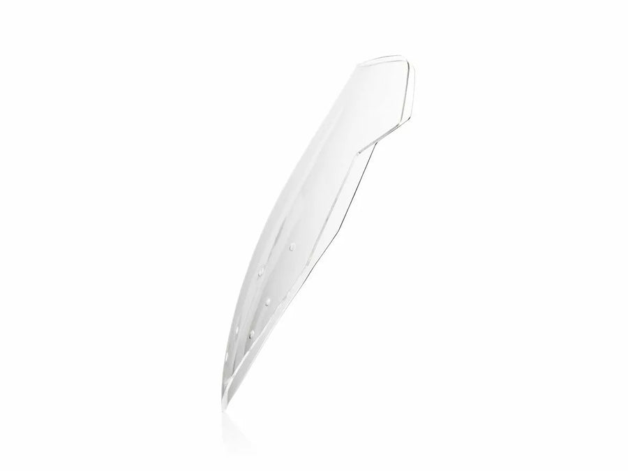 BMW R 1200 R [WRS] – Windschild