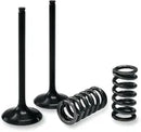 GAS GAS EC 450 [PROX] – valve and spring set