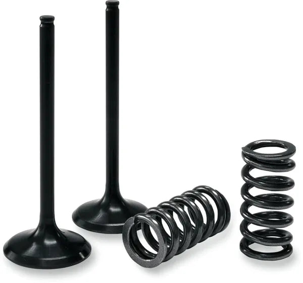 GAS GAS EC 450 [PROX] – valve and spring set