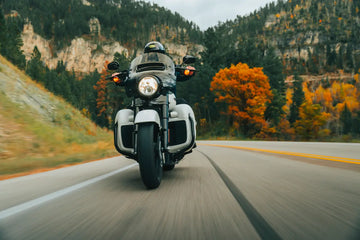 Harley-Davidson FXST 1584 Softail Standard [2008, 2010-2011] - AXEO Softail front suspension - picture 2