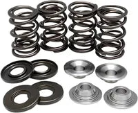 BMW R 60/5 [KIBBLEWHITE] – Valve spring kit