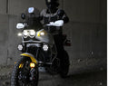 Ducati Desertx DX900 [Denali] - Cansmart ™ -ohjain-2