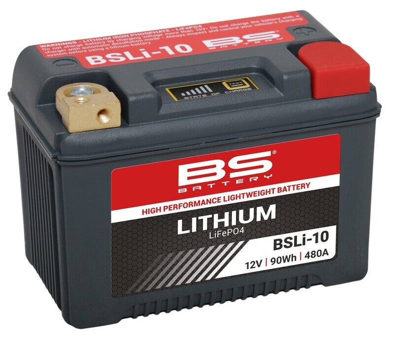 Yamaha Grizzly 660 [BS BATTERY] - Lithium-Ionen-Batterie - BSLI-10