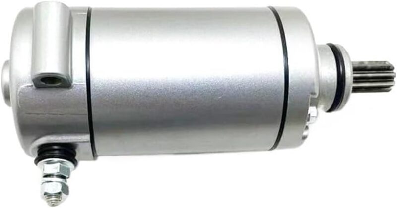 Benelli Leoncino 500 Trail [TECNIUM] - Anlasser