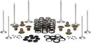 Harley-Davidson FLSB 1750 Softail Sport Glide 107 [2022, 2024] - Titanium valve spring retainer kit - picture 5