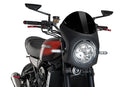 KAWASAKI Z 900 RS SE [2025] – Retro fairing screen – Transparent-12