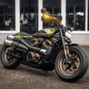 harley-davidson sportster s [HEINZ BIKES] – NANO-kohde-4